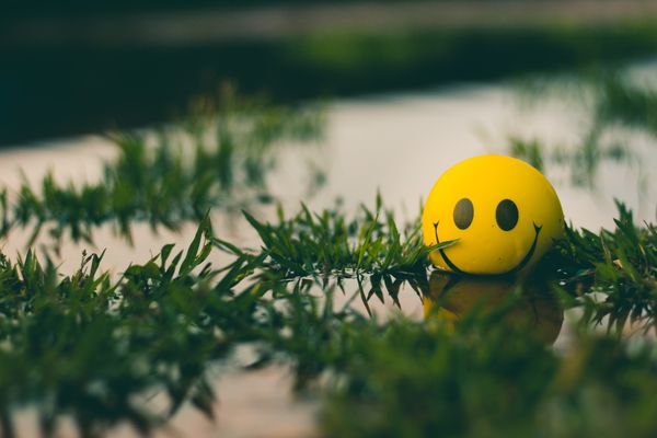 Yellow ball with a smiling face floating in some water next to some green plants