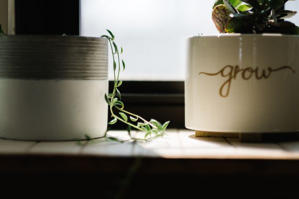 Two plant pots on a windowsill. One has the word "grow" written on it.